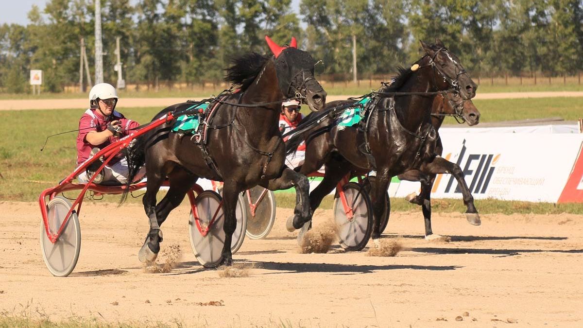  IV этап «Большого Сибирского круга»