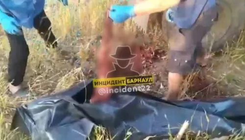 Молодой аграрий попал под работающий комбайн и погиб. Следком начал проверку