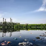 Обь признали одной из самых загрязняемых рек в России