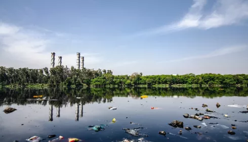 Обь признали одной из самых загрязняемых рек в России