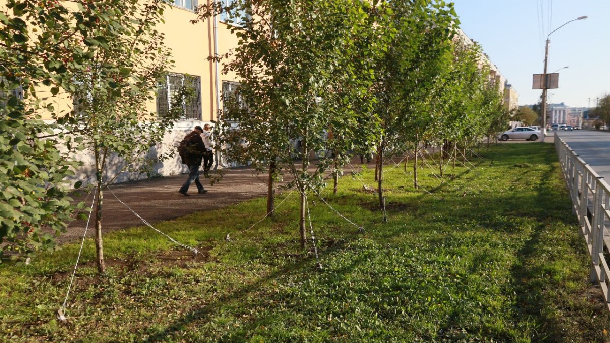 Озеленение в Барнауле