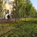 Подрядчик отказался поливать барнаульскую растительность и попал в черный список