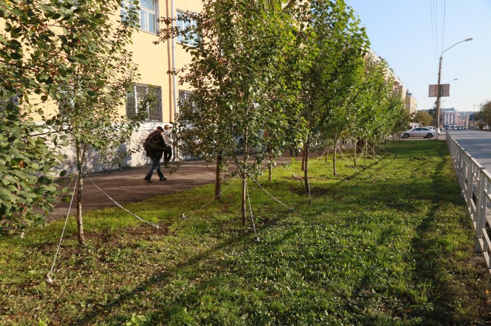 Озеленение в Барнауле