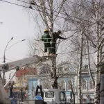 Уборка снега, ТКО и земляные работы: в Барнауле меняют Правила благоустройства