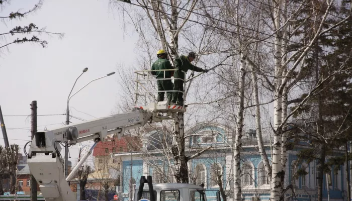 Уборка снега, ТКО и земляные работы: в Барнауле меняют Правила благоустройства