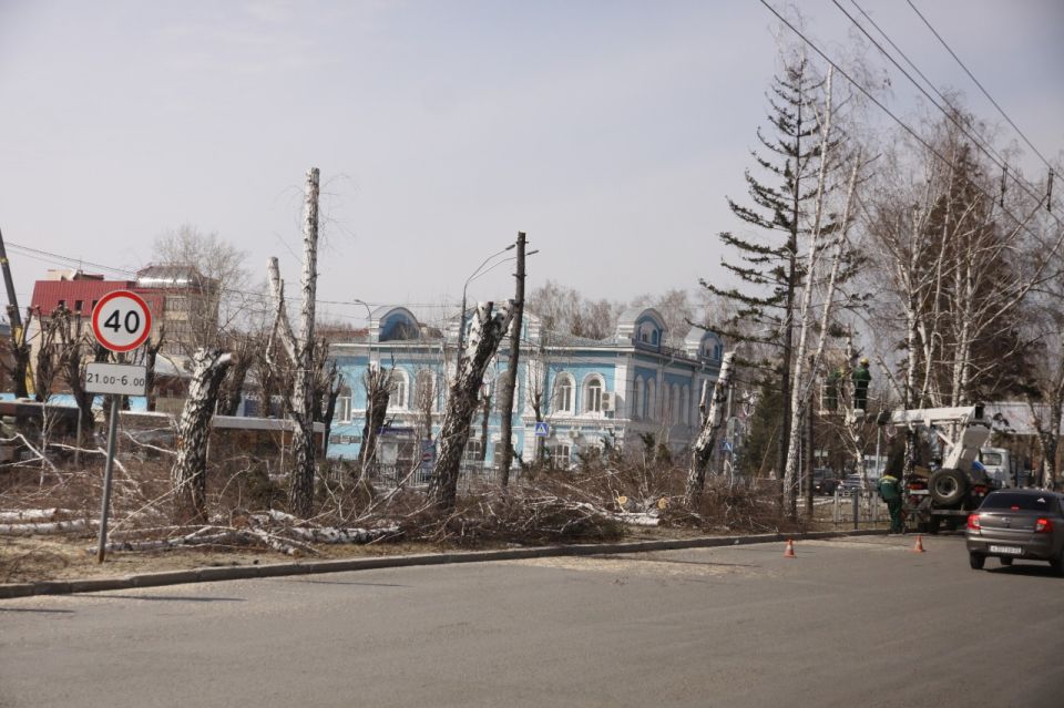Вырубка старых деревьев на Ленинском проспекте