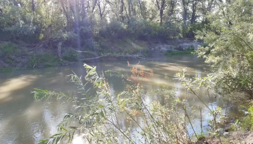 Еще одна жительница Алтайского края пойдет под суд за недосмотр за купающимися детьми