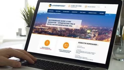 Лайфхак от «Алтайэнергосбыта»: как сэкономить время при оплате за свет и передаче показаний счетчиков