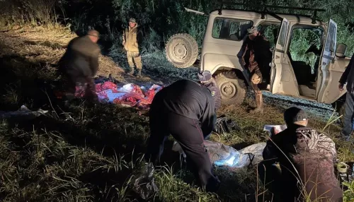 Браконьера с тушей марала задержали в Алтайском крае