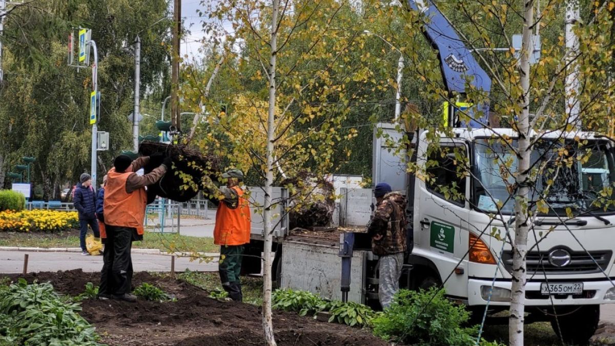 Озеленение Барнаула