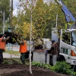 Безработных в Алтайском крае будут привлекать к общественно полезным делам