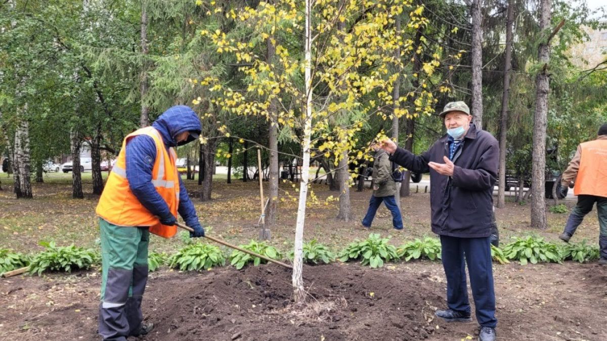 Озеленение Барнаула