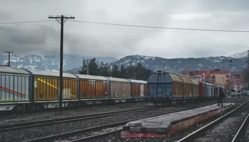 Грузовой поезд сбил пенсионерку на ж/д путях в Алтайском крае