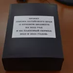 Маховик раскрутился. Что в бюджете Алтайского края на 2022 год напрягает депутатов
