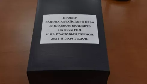 Маховик раскрутился. Что в бюджете Алтайского края на 2022 год напрягает депутатов