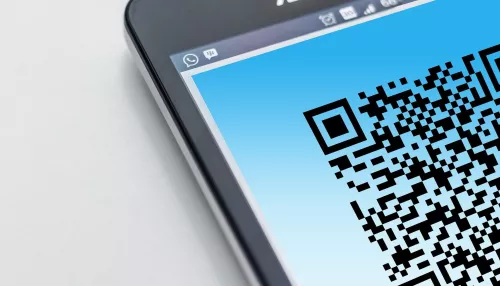 Почти 300 алтайских бизнесменов снова выступили против закона о QR-кодах