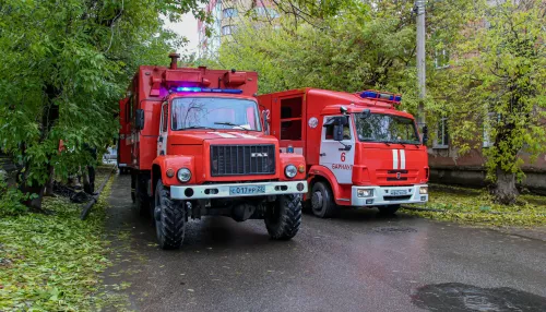 Мишустин выделил 115 млн на создание противопожарной службы в алтайском селе