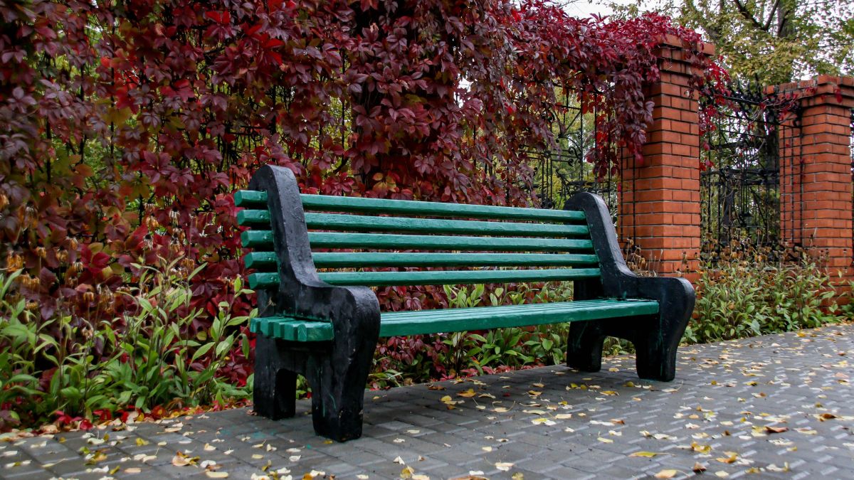 Скамейка. Парк