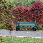 Скамейки и урны вывозят с улиц Барнаула на зимнее хранение