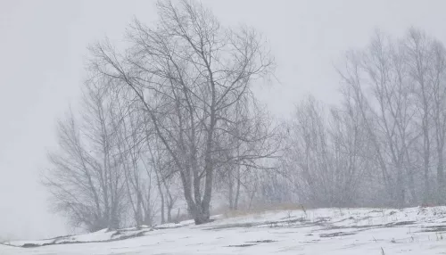 Правительство РФ снова приравняло часть территории Алтая к Крайнему Северу