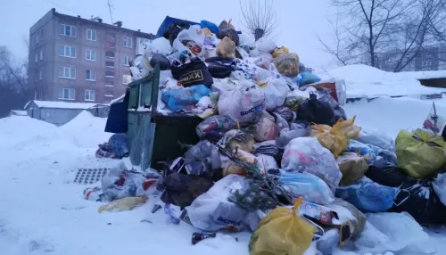 Алтайские депутаты намерены поискать в бюджете деньги на покупку мусорных контейнеров для сел