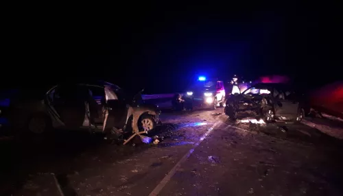 Трое детей и двое взрослых погибли в ДТП на алтайской трассе