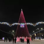 Как идет монтаж главной елки Барнаула и когда состоится ее открытие