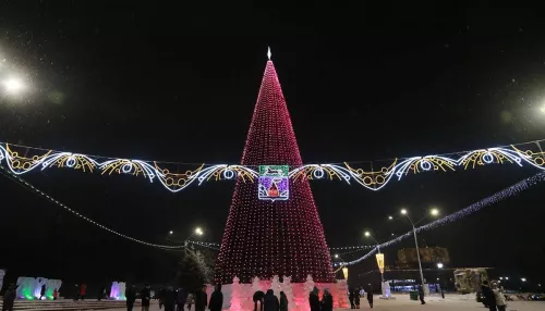 Когда и где в Барнауле установят главную новогоднюю елку