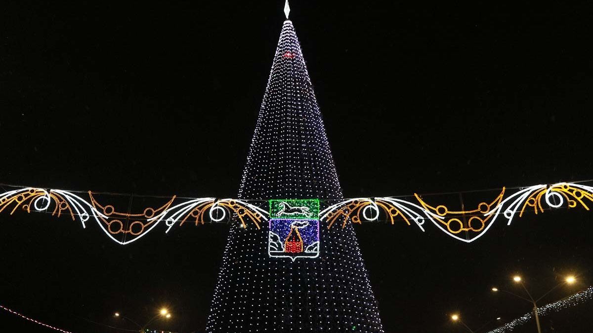 Площадь Сахарова. Новогодняя елка