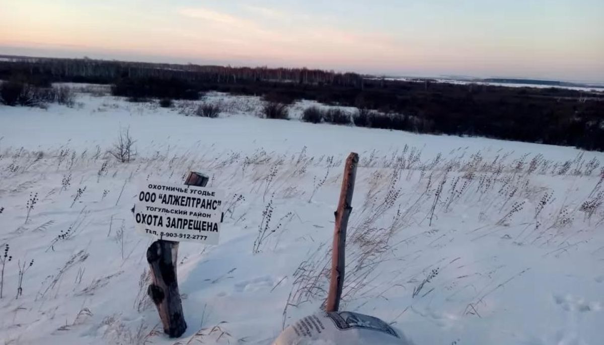 Алтайские егеря рассказали о трудностях борьбы с браконьерством - Толк  29.12.2021