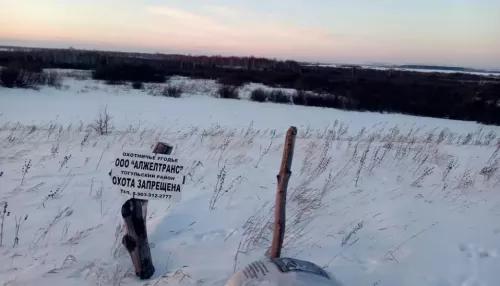 «Своего рода экстрим». Алтайские егеря рассказали о трудностях борьбы с браконьерством