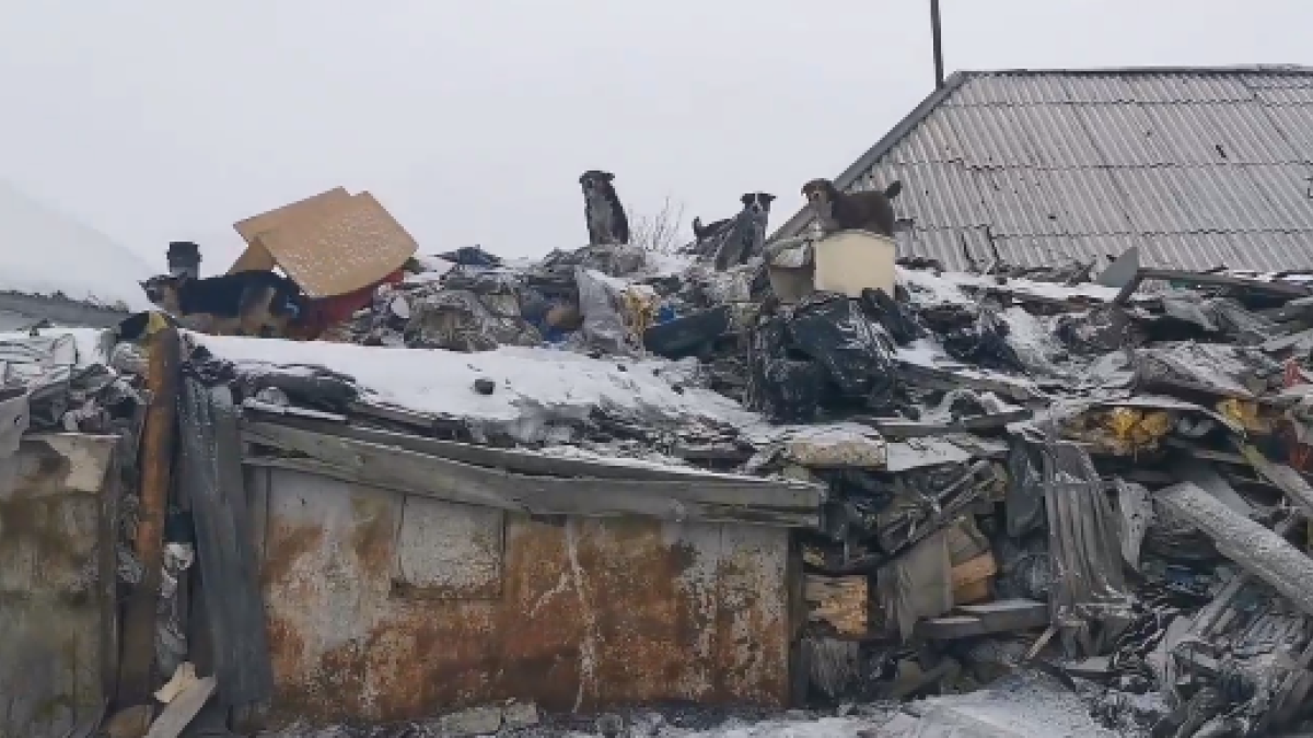 Дом с мусором в Рубцовске