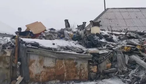 Алтайский пенсионер более 10 лет собирает мусор у себя во дворе