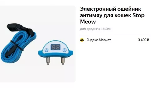 Удар током за разговор: опасны ли электроошейники для кошек Антимяу