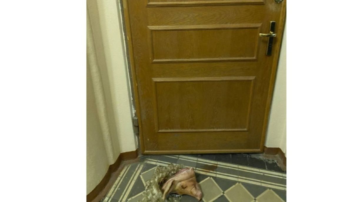 Под дверь подкинули. Подарки под дверью новый год. Подклад под дверь земли. Колесо подкидышей. Под дверь подкинули.