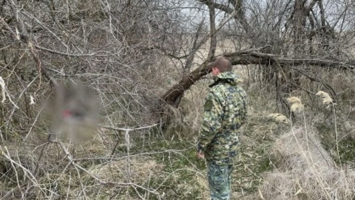 Место обнаружение 15-летнего подростка