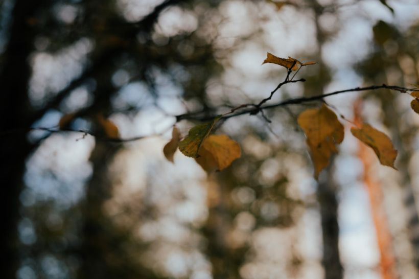  Фото:Анна Меньшикова