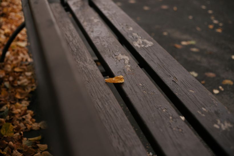  Фото:Анна Меньшикова