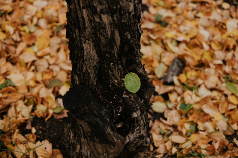  Фото:Анна Меньшикова