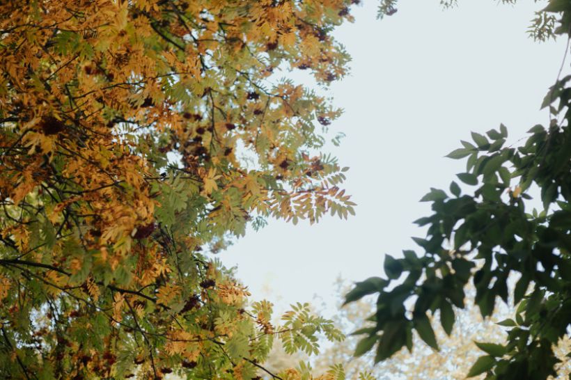  Фото:Анна Меньшикова