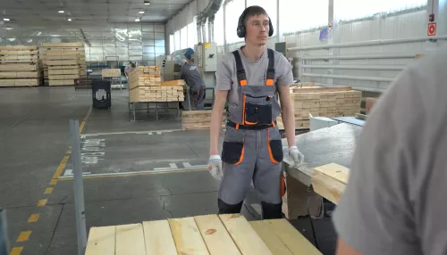 В Алтайском крае сотрудники лесного предприятия могут потерять работу