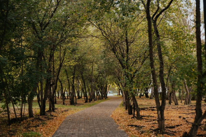  Фото:Анна Меньшикова