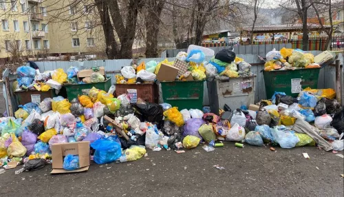 На Алтае собираются прощаться с регоператором из-за завалов мусора