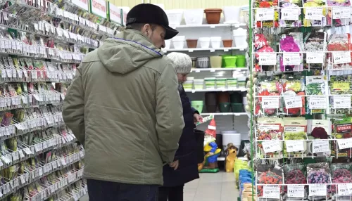 Барнаульцы активно готовятся к дачному сезону, скупая семена и садовые участки