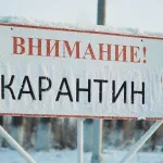 Карантин ввели за один месяц в четырех районах Алтайского края