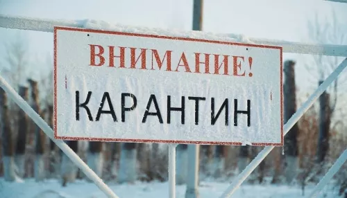Карантин ввели за один месяц в четырех районах Алтайского края