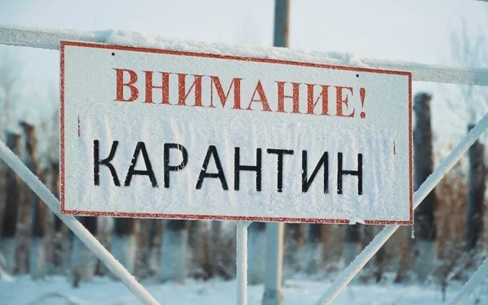 В пригороде Барнаула объявлен карантин из-за опасной болезни лошадей
