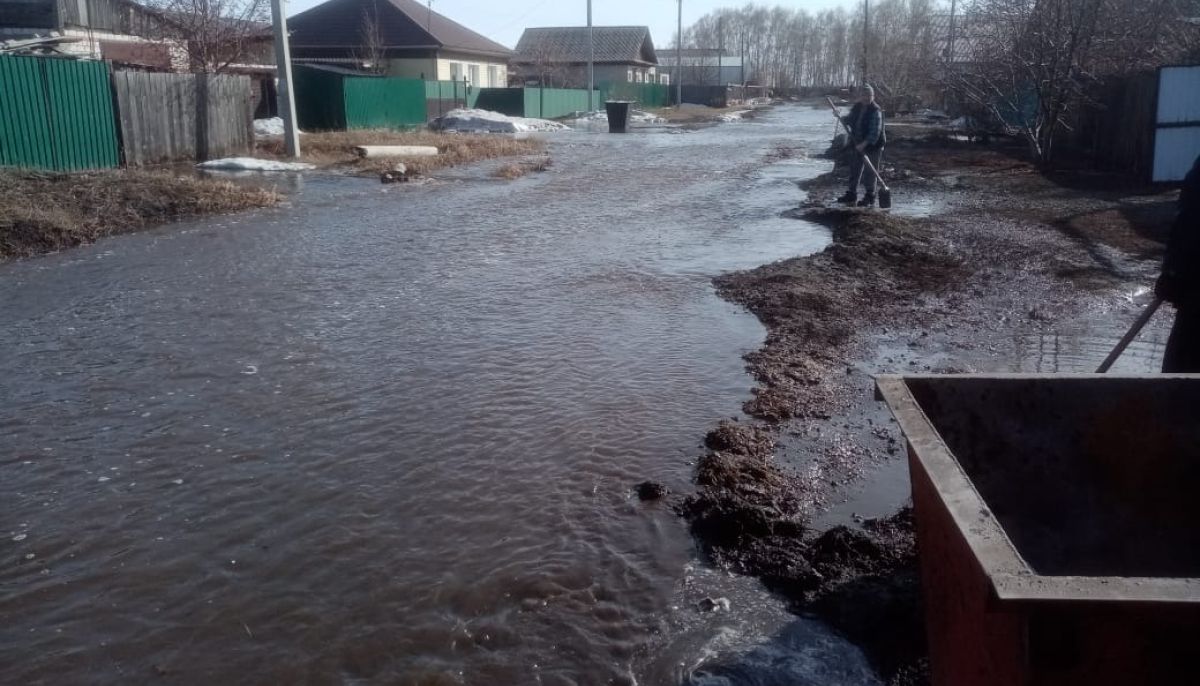 Как в Камне-на-Оби затопило улицу Черемуховую в Зеленом Клине - Толк  06.04.2022