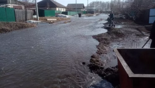 Жители Камня-на-Оби рассказали про потоп в Зеленом Клине