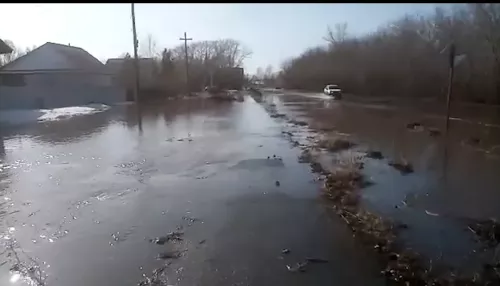 Где самая сложная паводковая обстановка в Алтайском крае и ждать ли большую воду